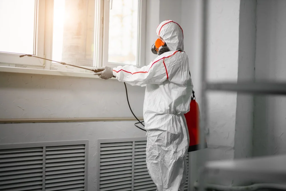 Professional mold remediation services in Paragon, IN